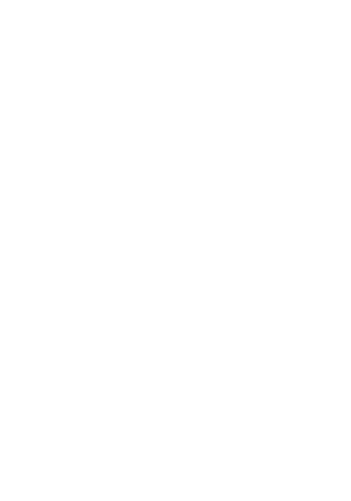 Logo Lonati Group